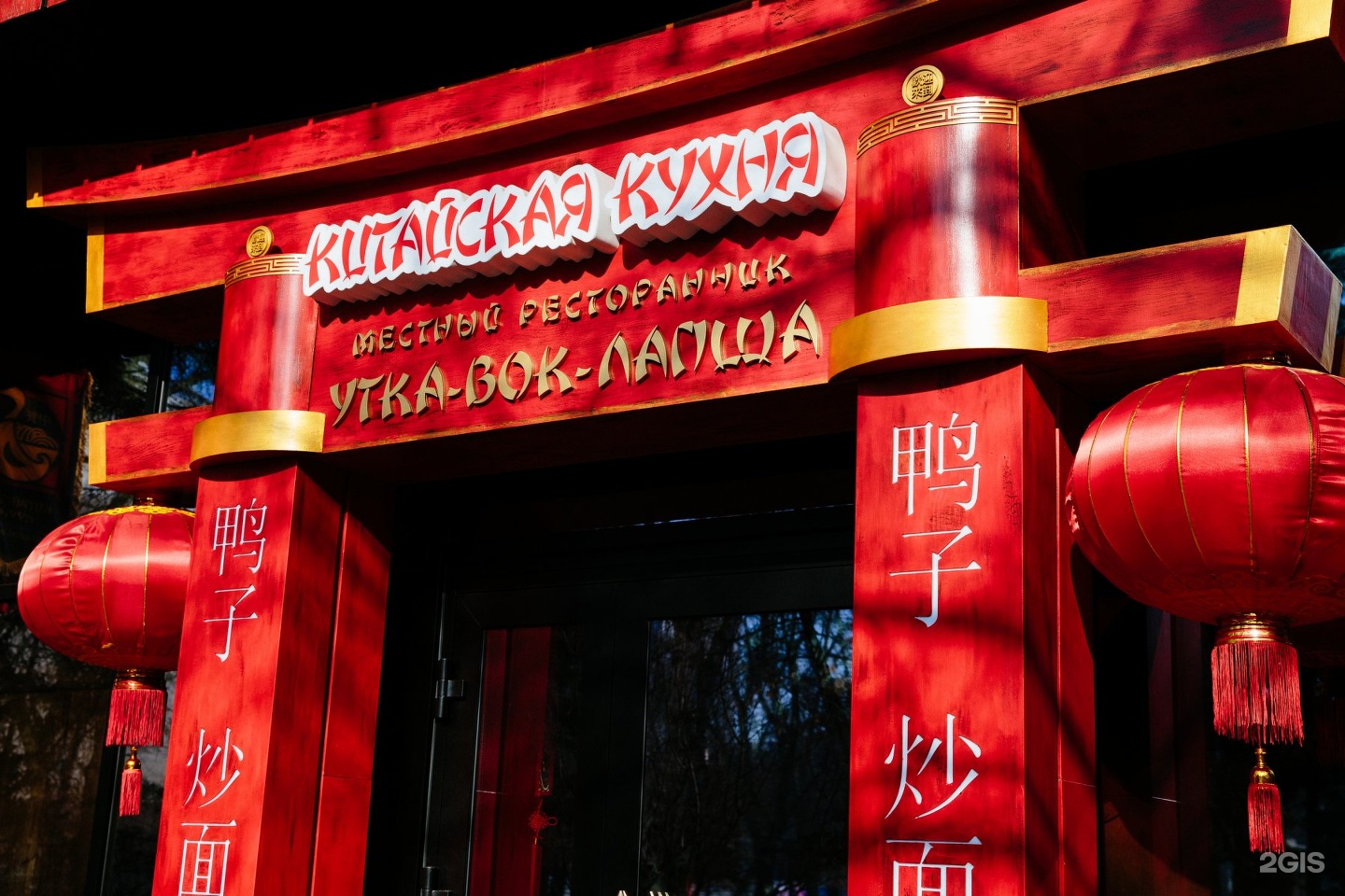 Лапша сверху. Вок с уткой. Лапша вок на темном фоне. Утка-вок-лапша, абакан. Лапша абакан.