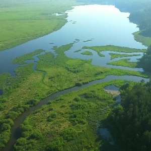 Фото от владельца Бузим, загородный клуб