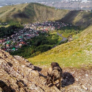 Фото от владельца Каприоль, конно-любительский клуб