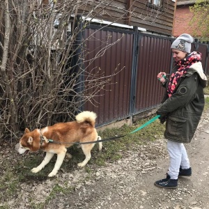 Фото от владельца Дивные хаски, база отдыха