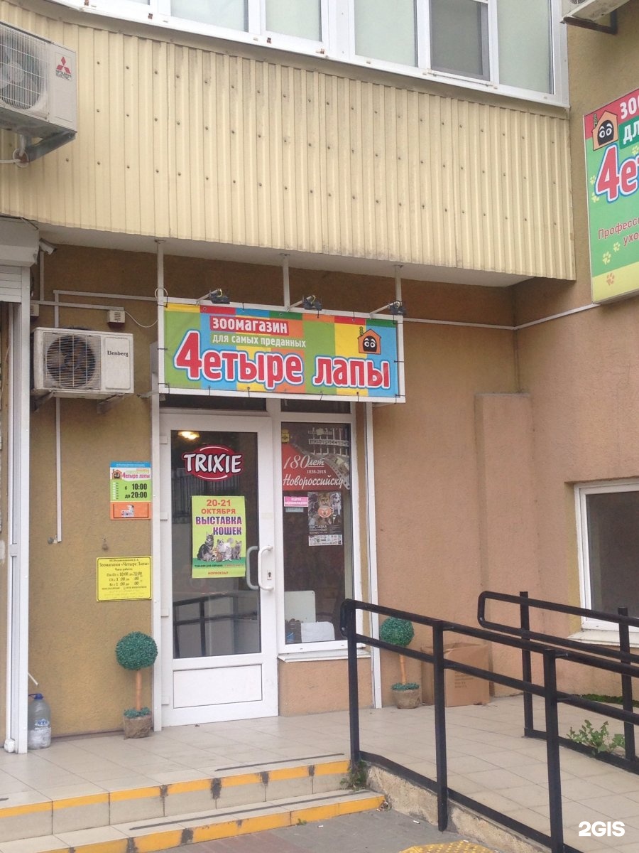 ленина 9 новороссийск зоомагазин четыре лапы. зоомагазин новороссийск. самый большой fix price в краснодаре. зоомагазин новороссийск. зоомагазин около миндалья здание.