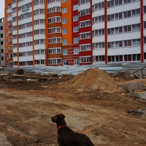 Фото от владельца ВологдаСтройЗаказчик, ООО, строящиеся объекты