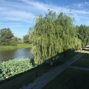 Фото от владельца Блесна, база отдыха