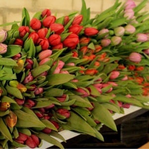 Фото от владельца Цветы online Псков, служба доставки цветов