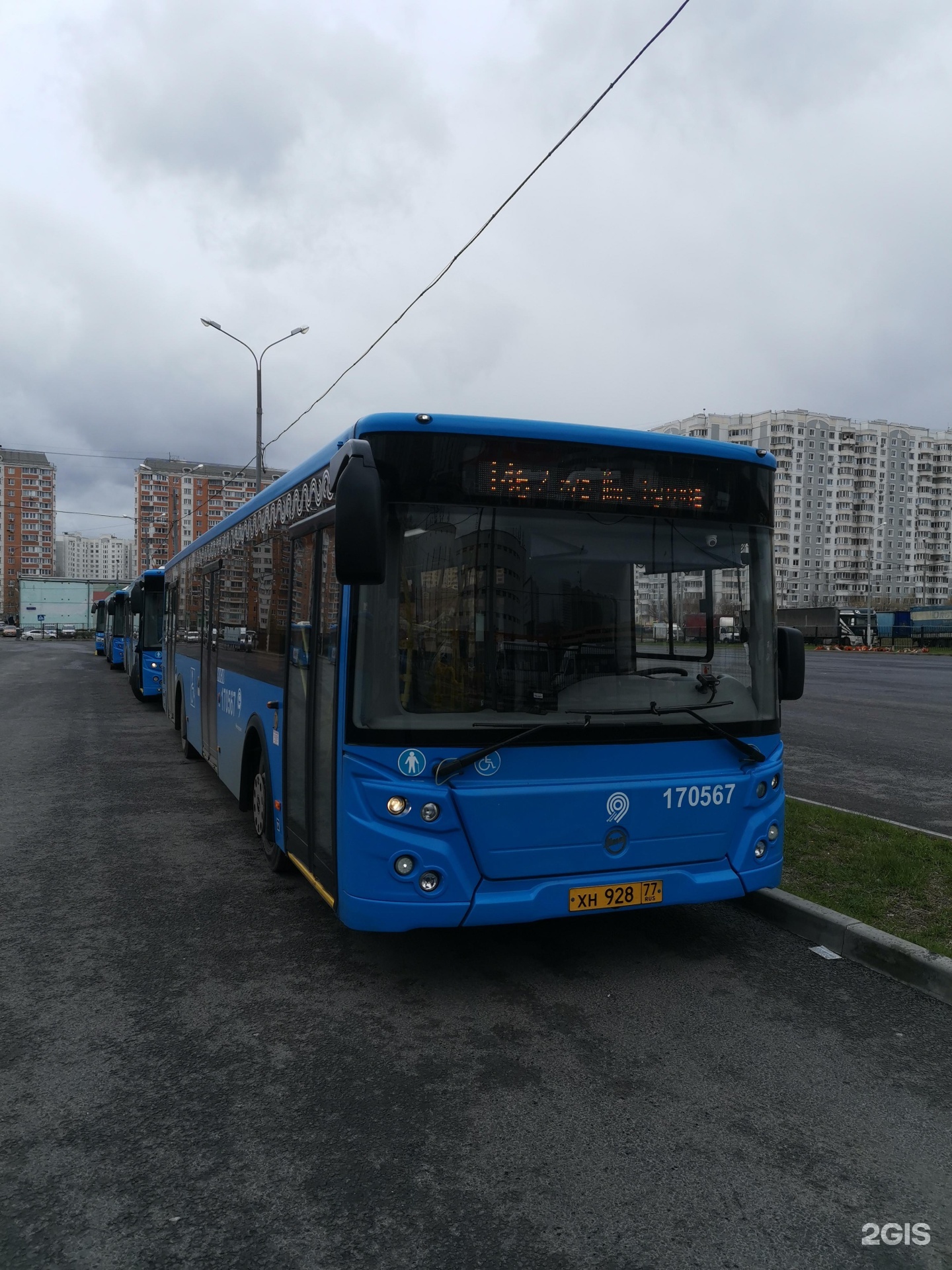 146 автобус красное. Автобус 146. Маршрут 146 автобусы. 146 Автобус Калининград. Маршрут автобуса 146 красное село.