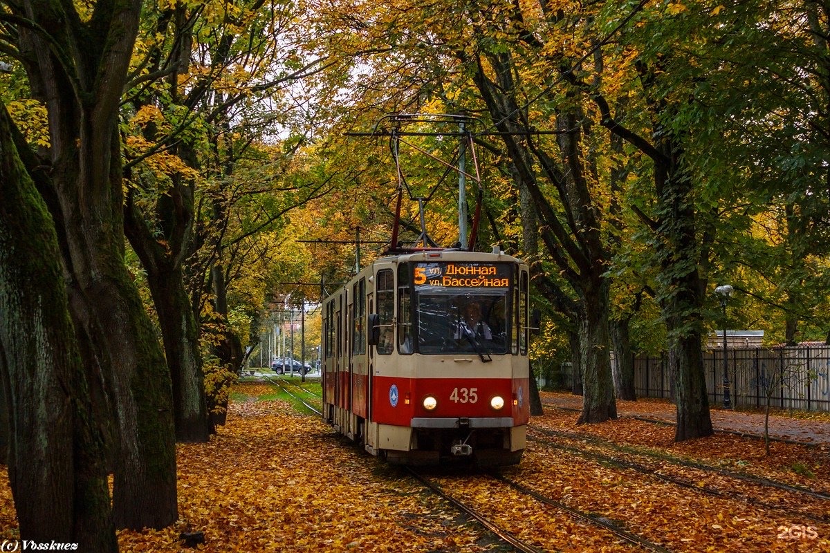 Каштановая аллея трамвай Калининград