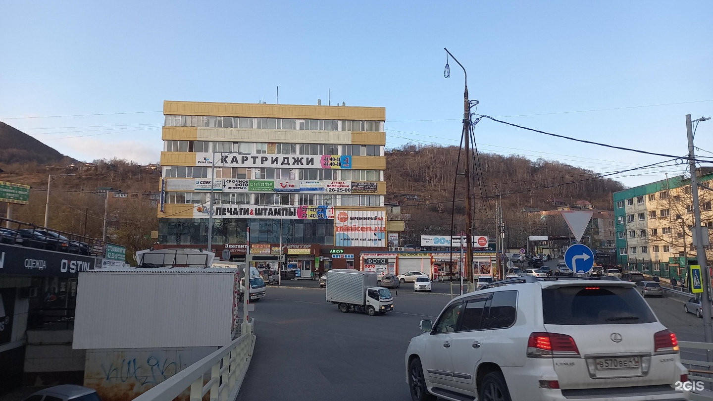 Камчатский дом творчества. Петропавловск Камчатский ул Ленинградская 114.. 5 Ти этажный дом Камчатка Пионерский. Дом быта Чайка Петропавловск-Камчатский фото.