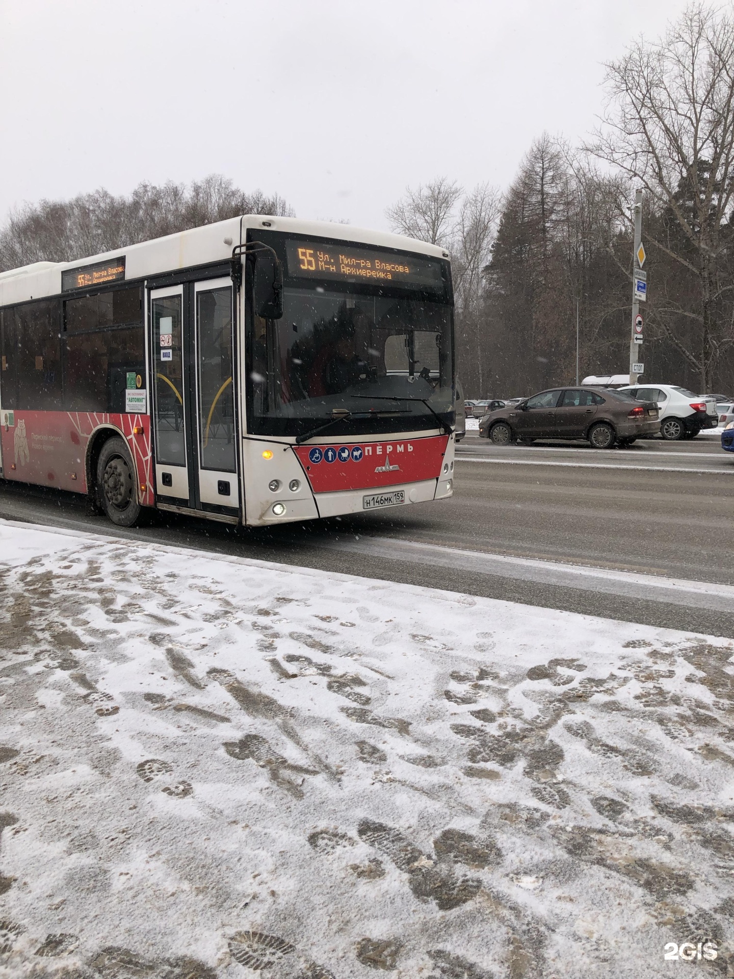 Автобус 55 воронеж. 55 Автобус Пермь. Автобус 20 Пермь. Автобус 55э. Маршрутка 55.