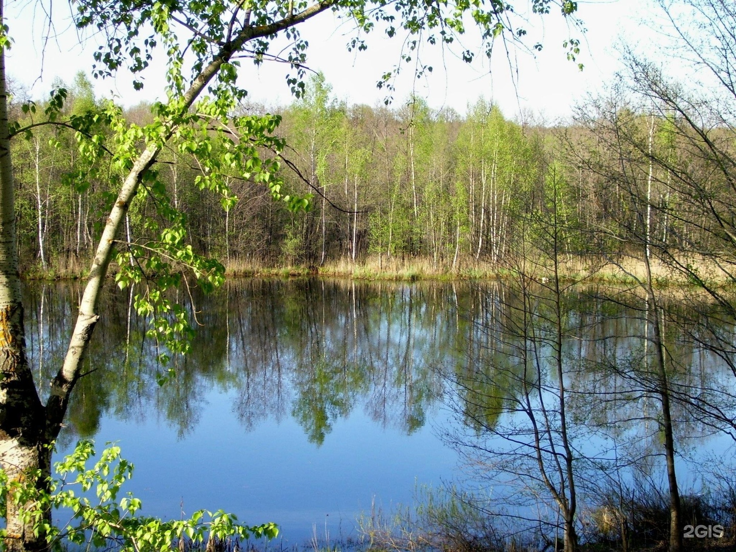 бурцевское озеро нижегородская область