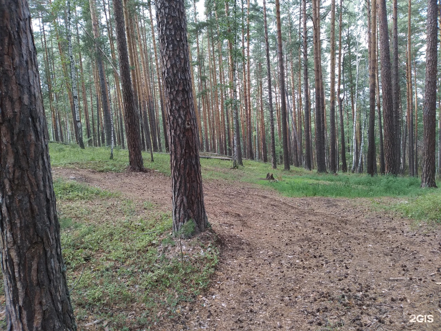 Верхние караси чебаркульский район карта