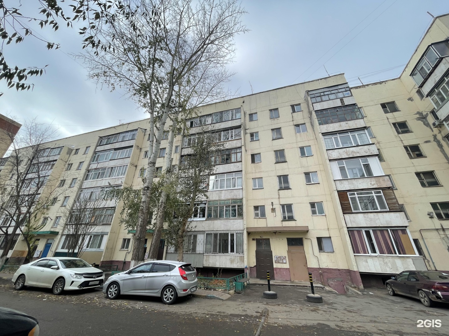 Оазис