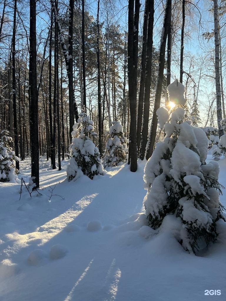 Купить Землю В Аргаяшском Районе