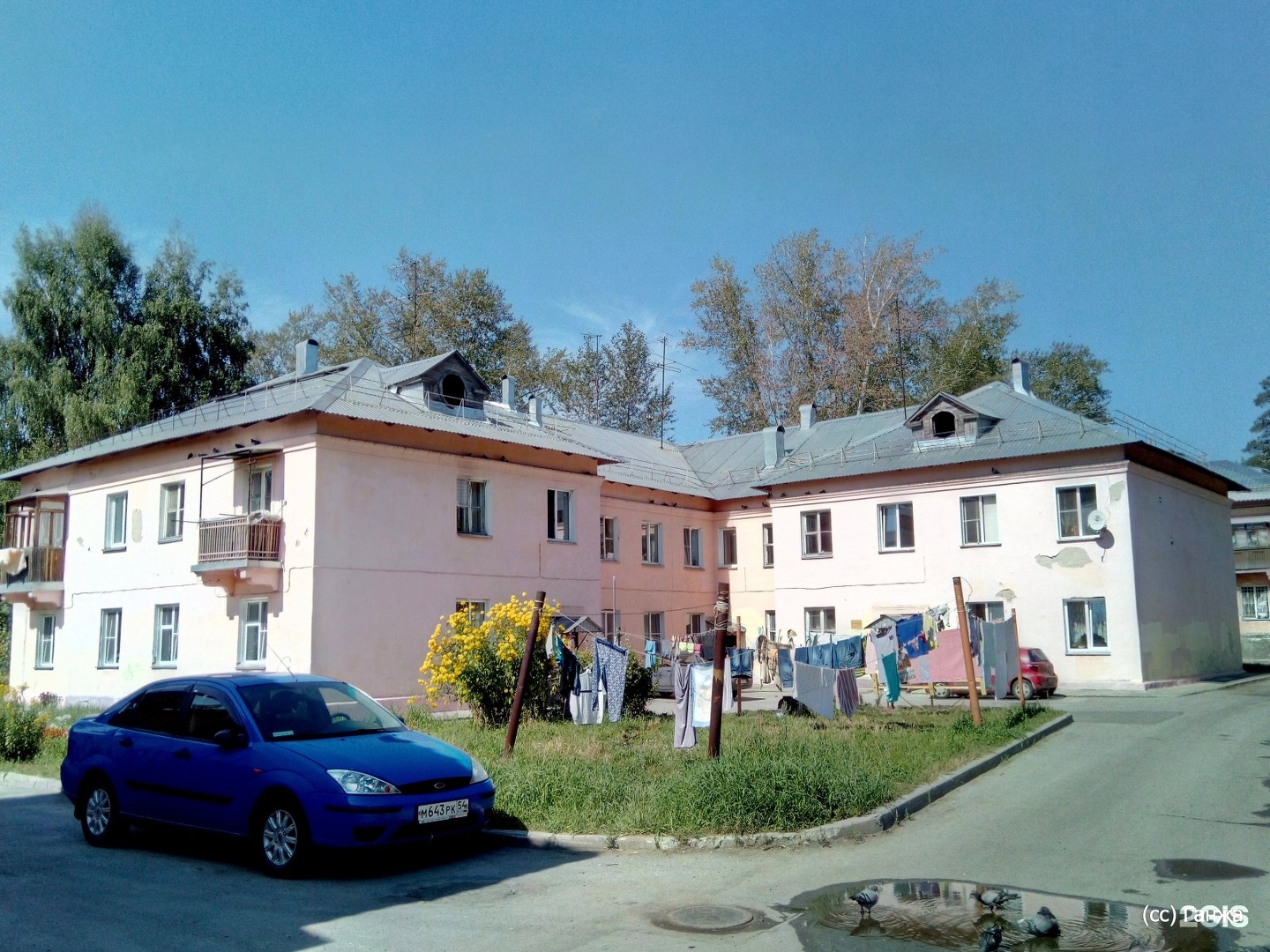 Орли тенистая ул. Луганская больница 4. Тенистая 3 луганск. Бузулук улица луганская. Луганск, улица рислянда.