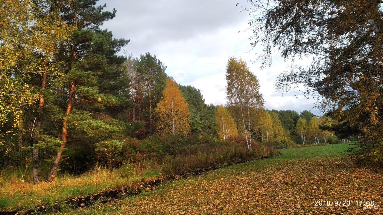 Краснообск парк синягина фото