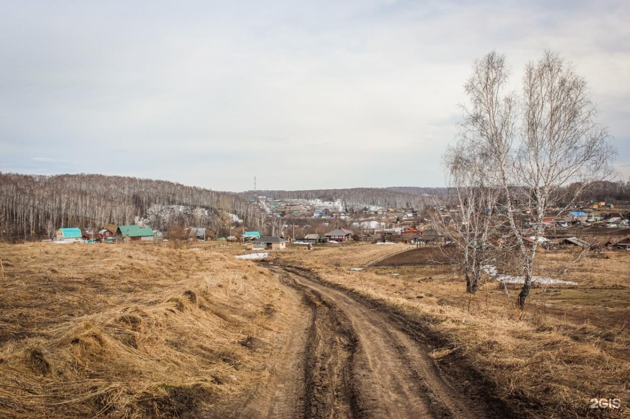 Жеребцово новосибирская область карта