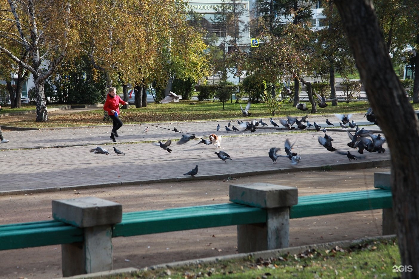 Сквер декабристов. Площадь Декабристов Иркутск. Площадь Декабристов ночь Иркутск. Площадь Декабристов Иркутск вид сверху. Площадь Декабристов Алматы.