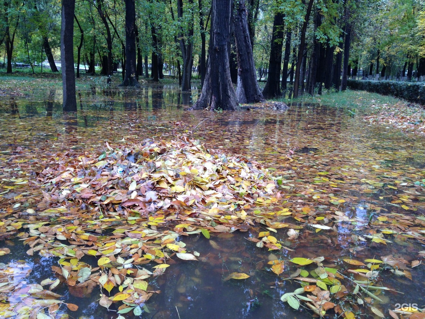 махачкала комсомольский парк