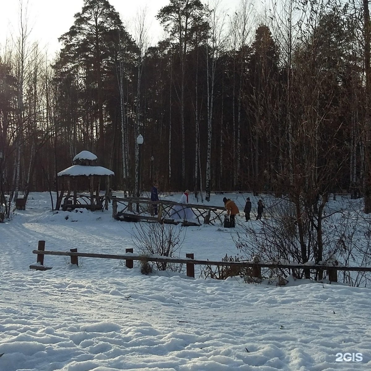 балатовский парк зимой