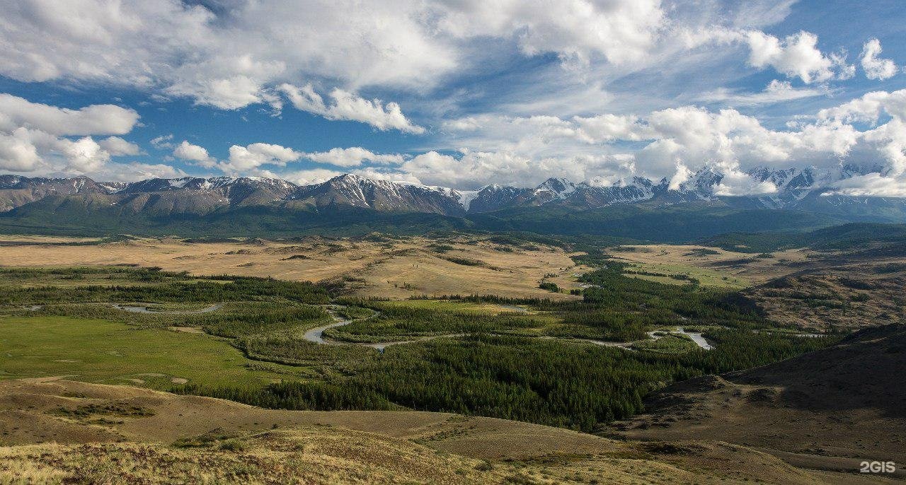 Кош Агач Курайская степь