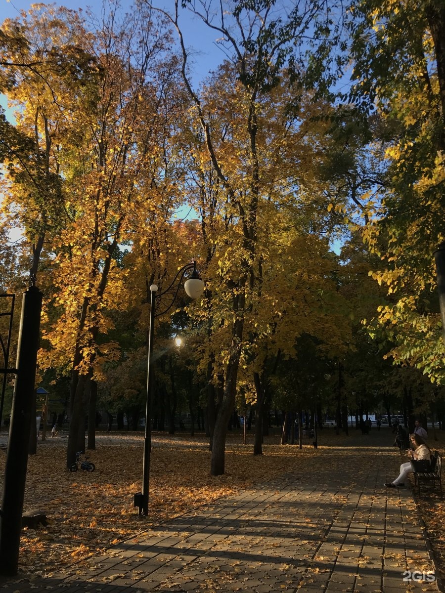 Фото парка орленок воронеж