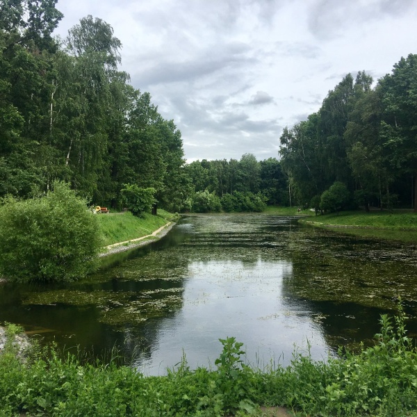 Фото заказник алтуфьевский