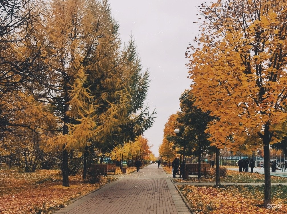 Парк школьников москва