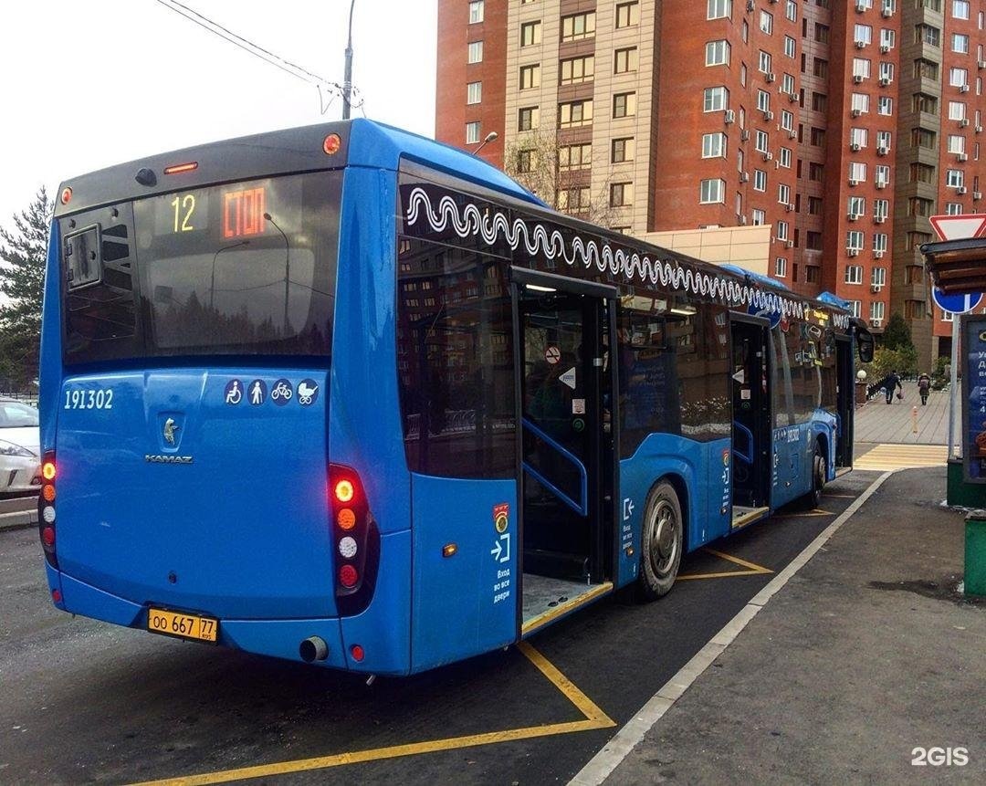 Картинками с автобусами в москве