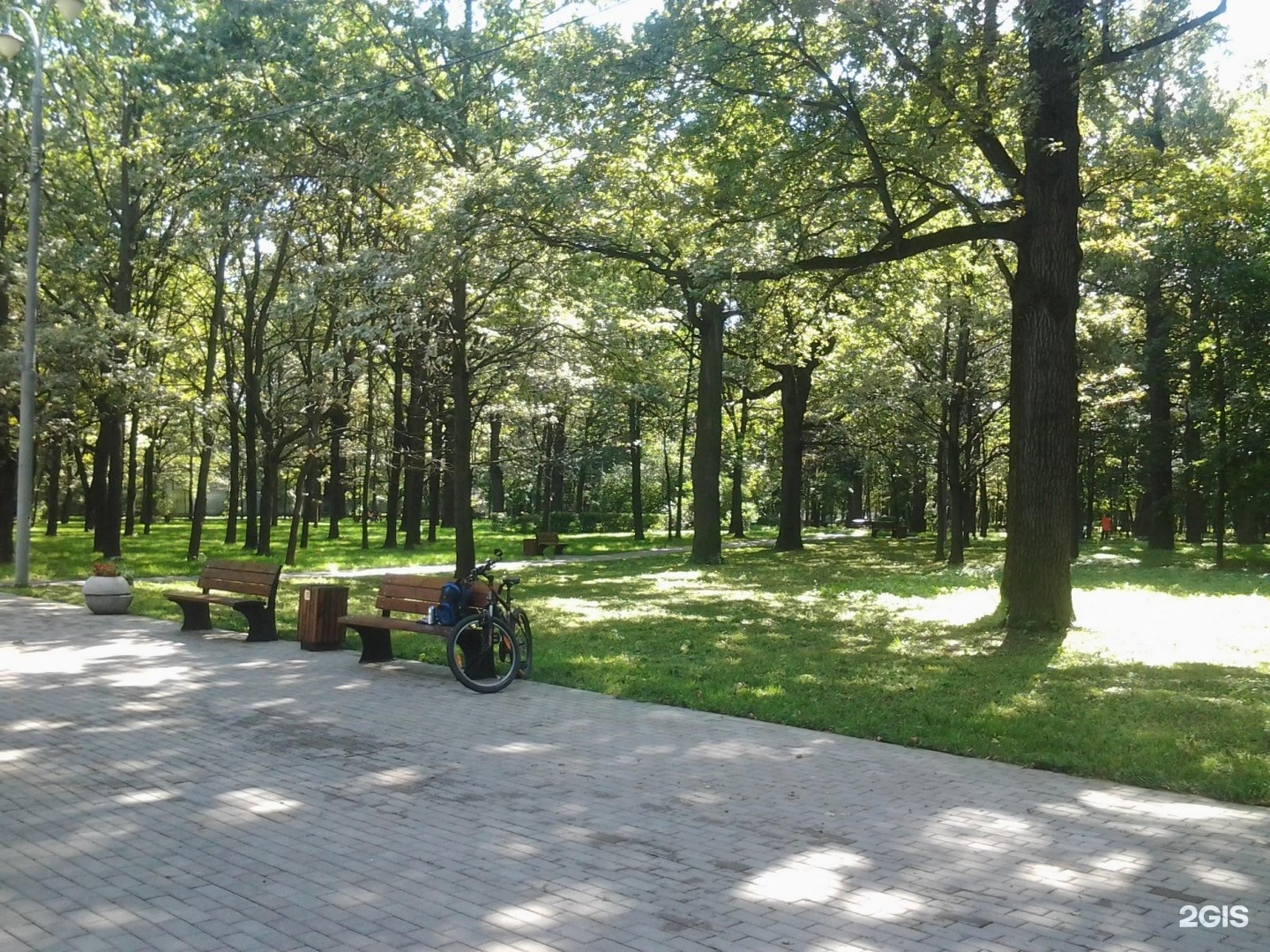 парк в дубовом
