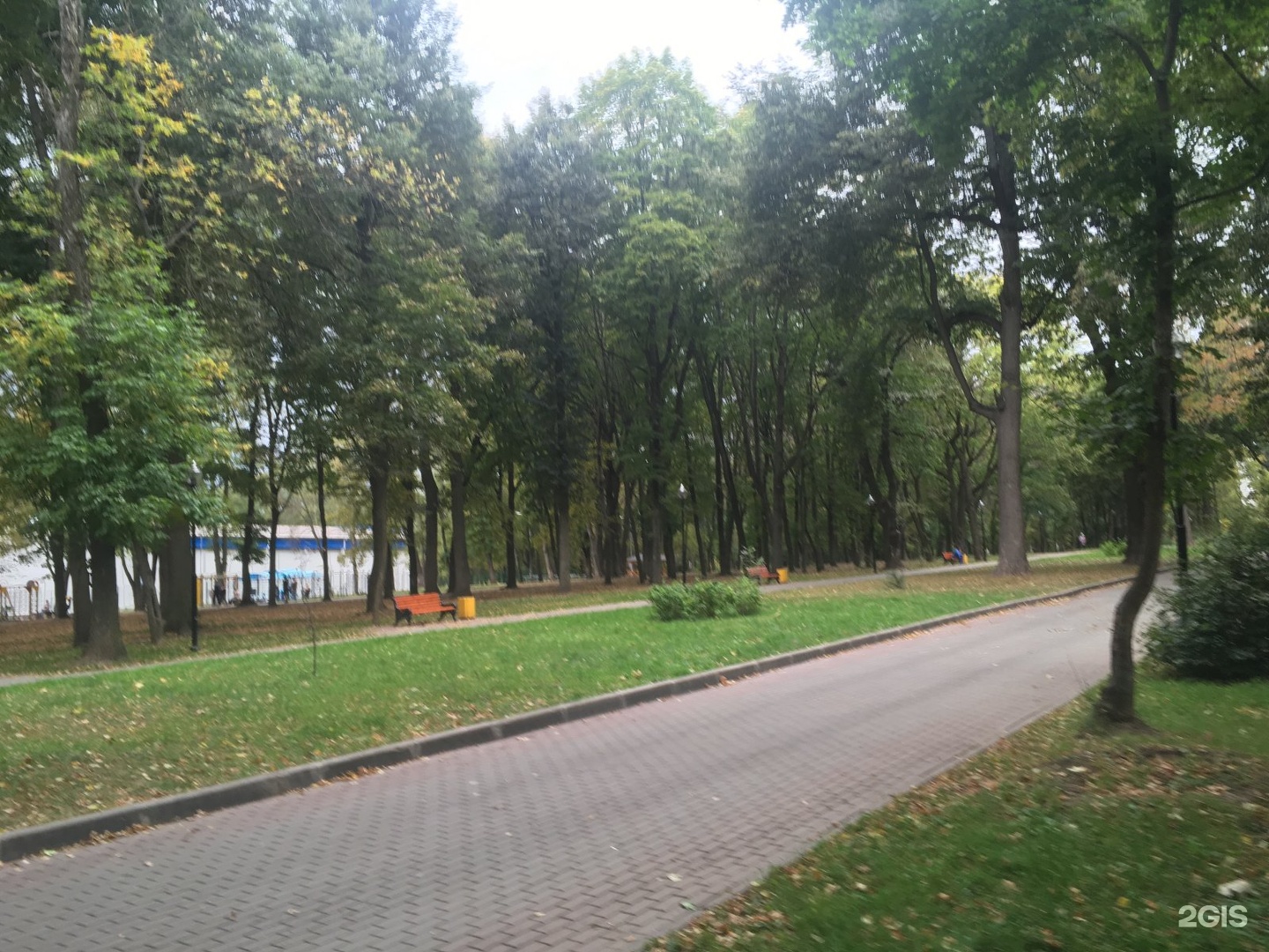 Рогожинский парк в туле