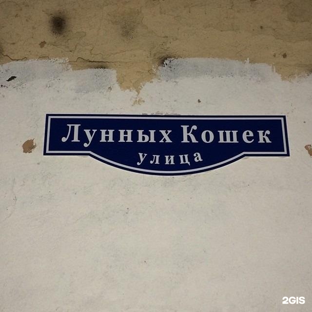 Улица лунных кошек спб карта