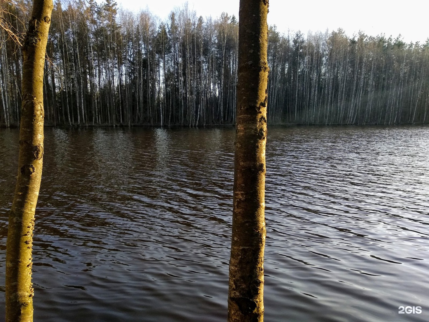 Юнтоловский заказник фото сейчас