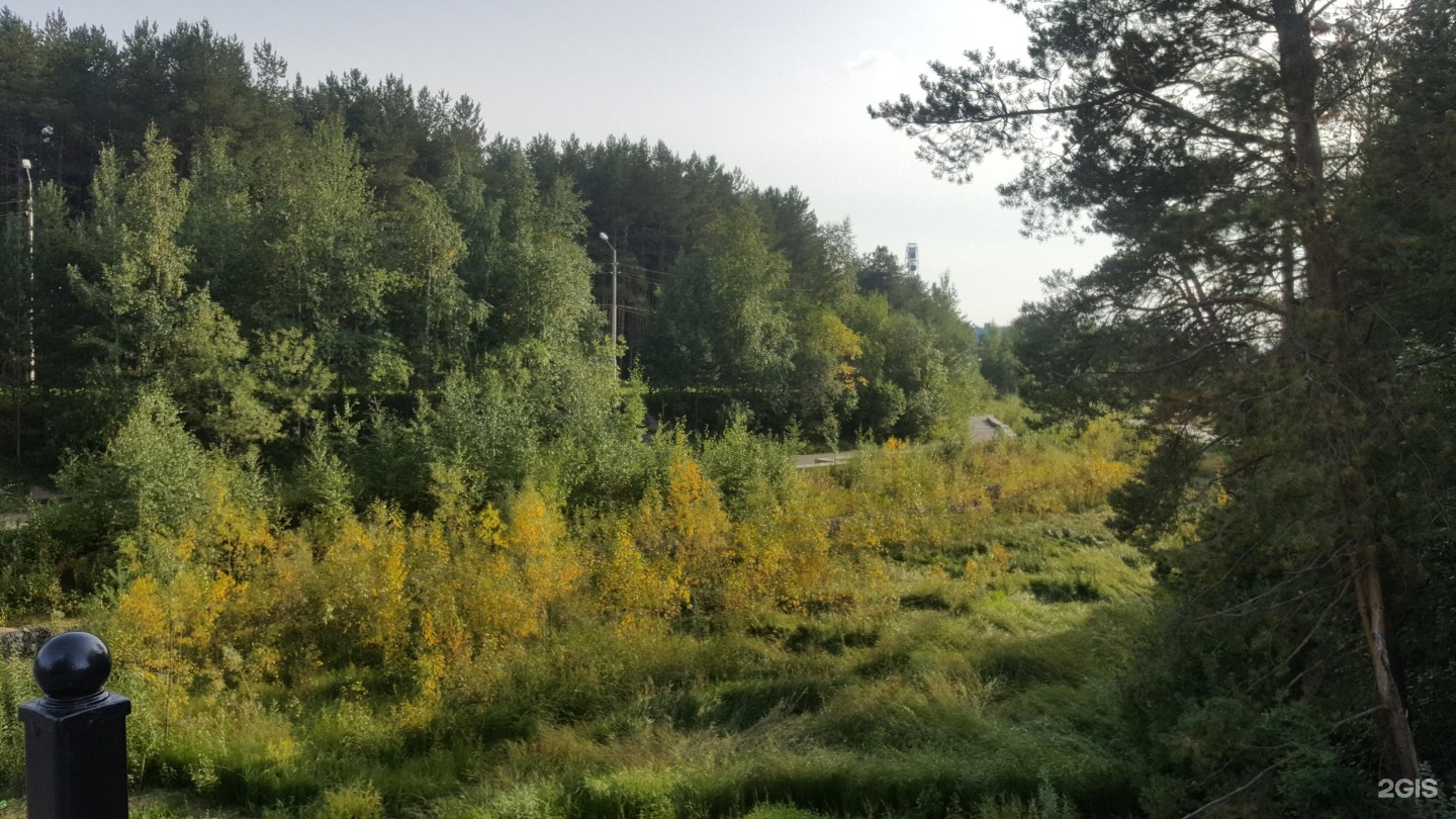 Фото сургут кедровый лог сургут