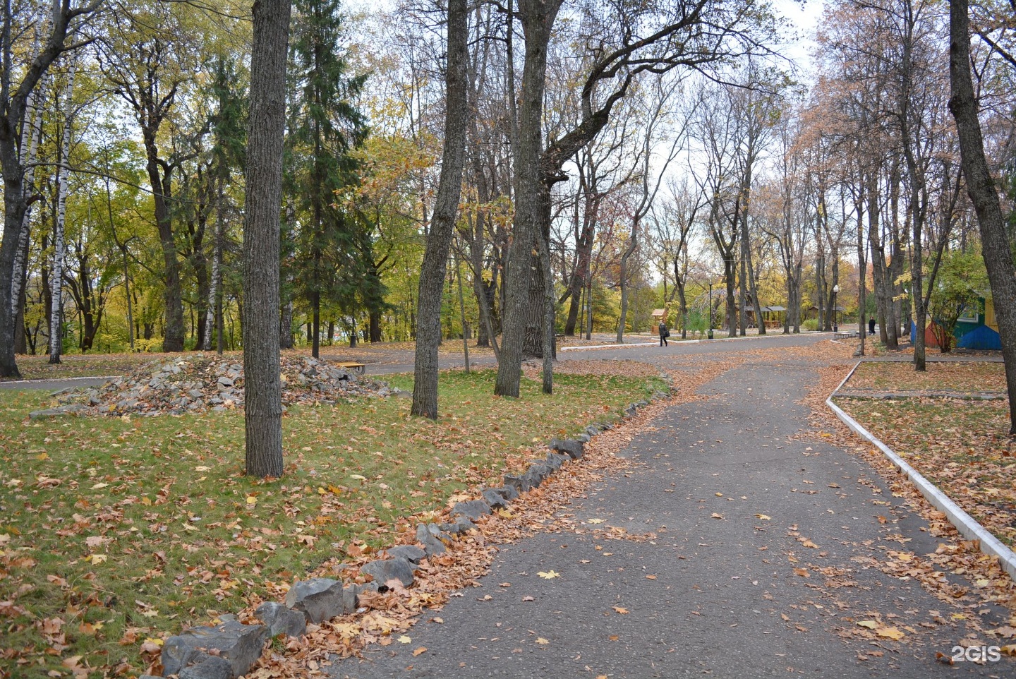 Белинского 2 пенза. Парк Белинского Пенза лес парка.