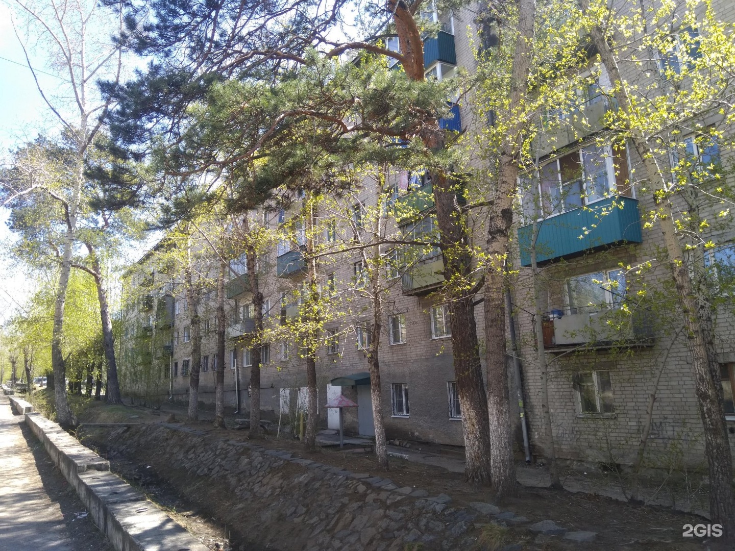 Посредников нет чита. Чита ул балябина 53. Посредников нет чита. Кв на сутки чита. Фото ул шилова в чите.