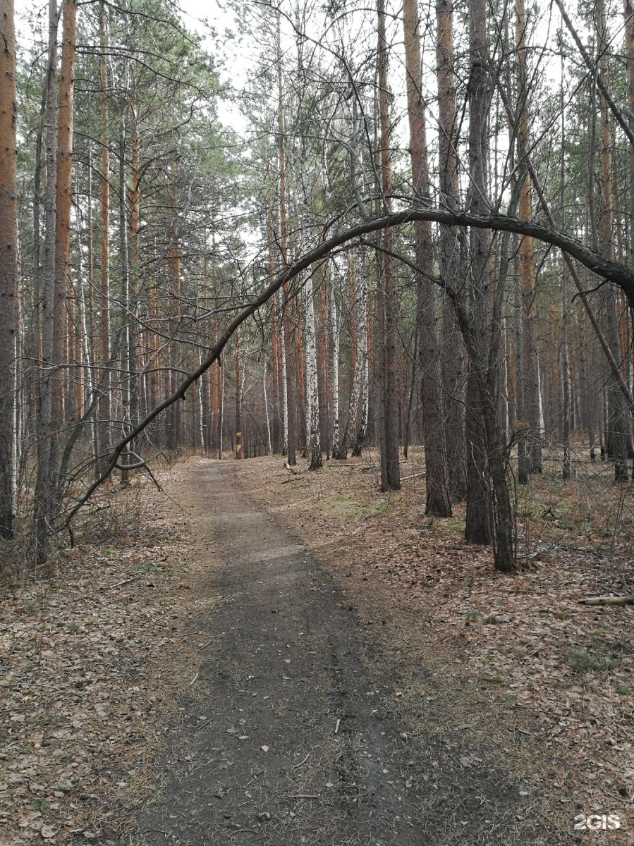 Уктусский лесопарк екатеринбург карта