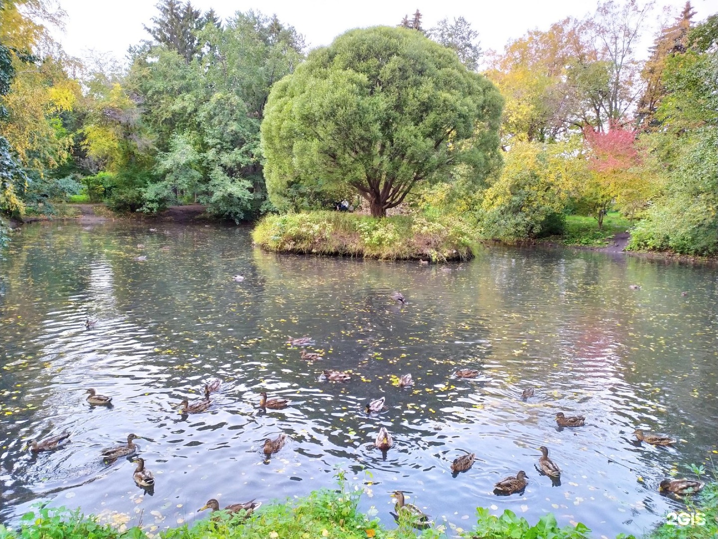 Дендропарк краснообск фото