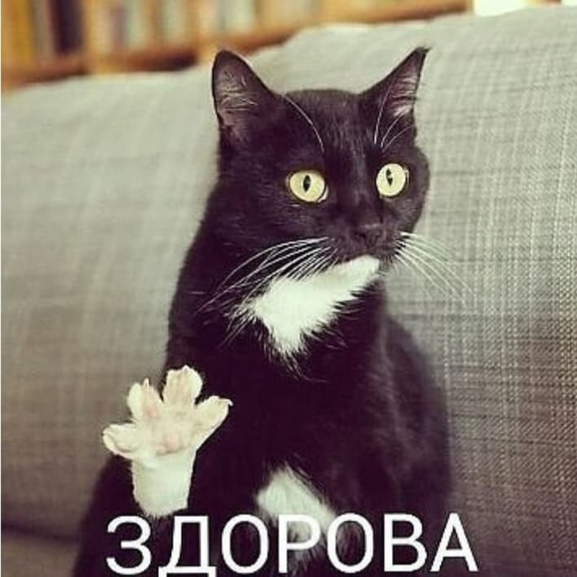 Веб-камера арқылы шынайы секс