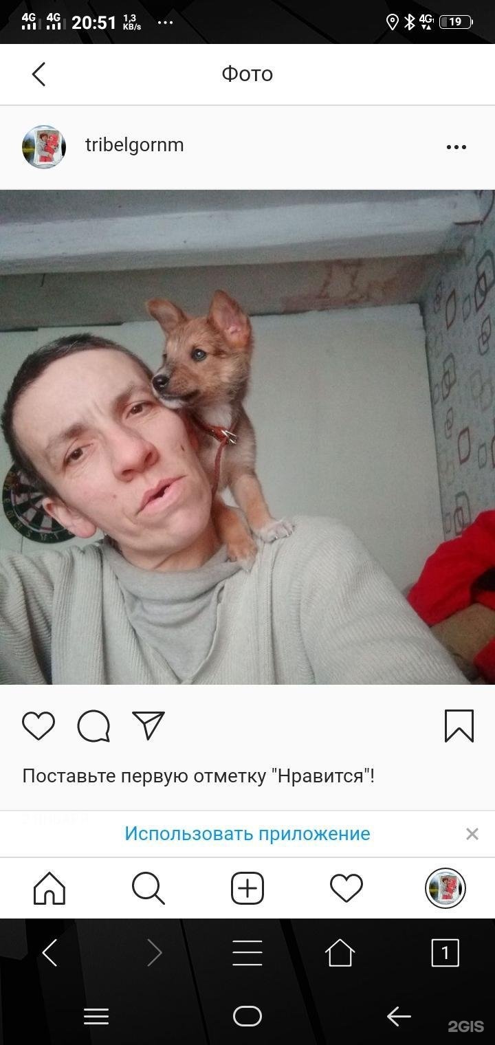 Магазин Маяк В Бежице Магазин Маяк В Бежице