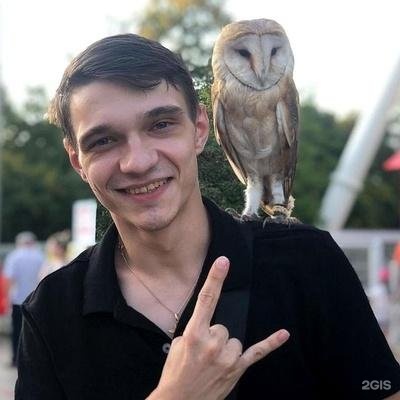 Автор отзыва Никита Аверкин