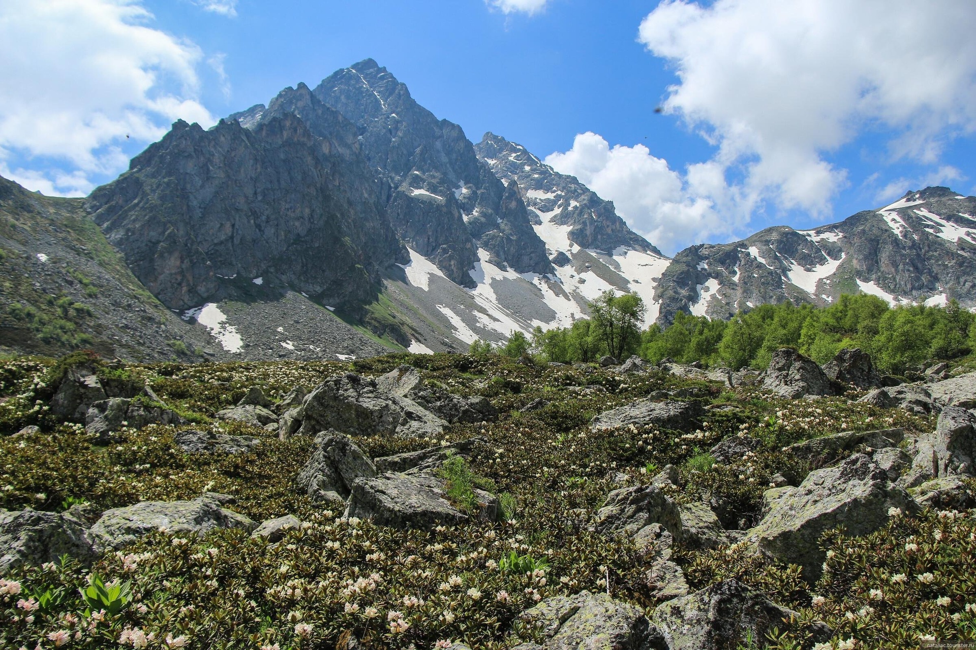 Нотариус Ивакина А.П., Горная, 8Б, Кострома — 2ГИС