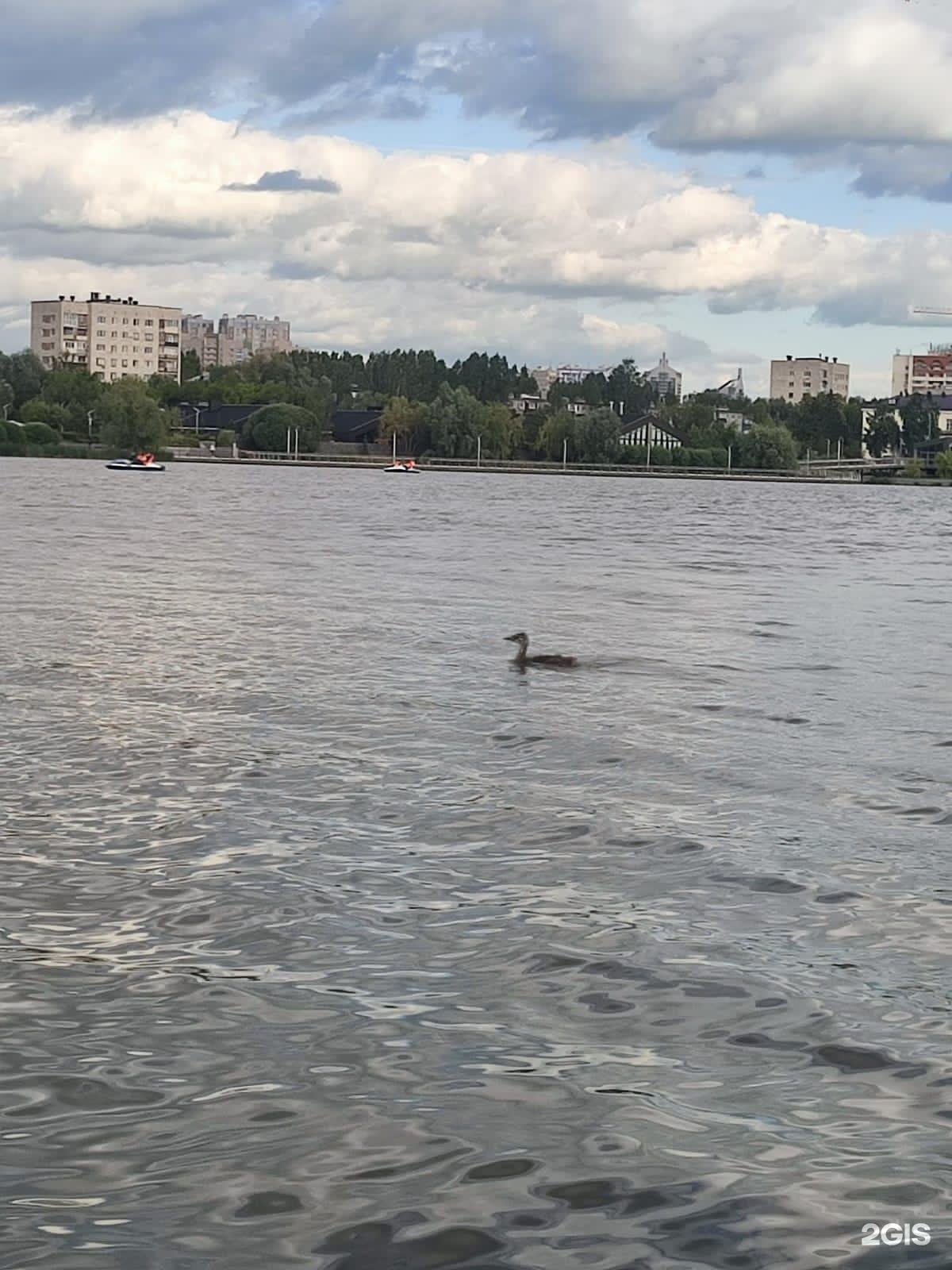 Автор отзыва Дарья Черевкова