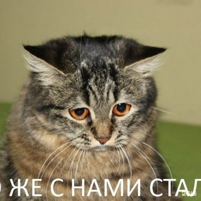 Магазин Котон Белая Дача Магазин Котон Белая Дача