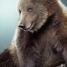 Магазин Пультов Иркутск Магазин Пультов Иркутск