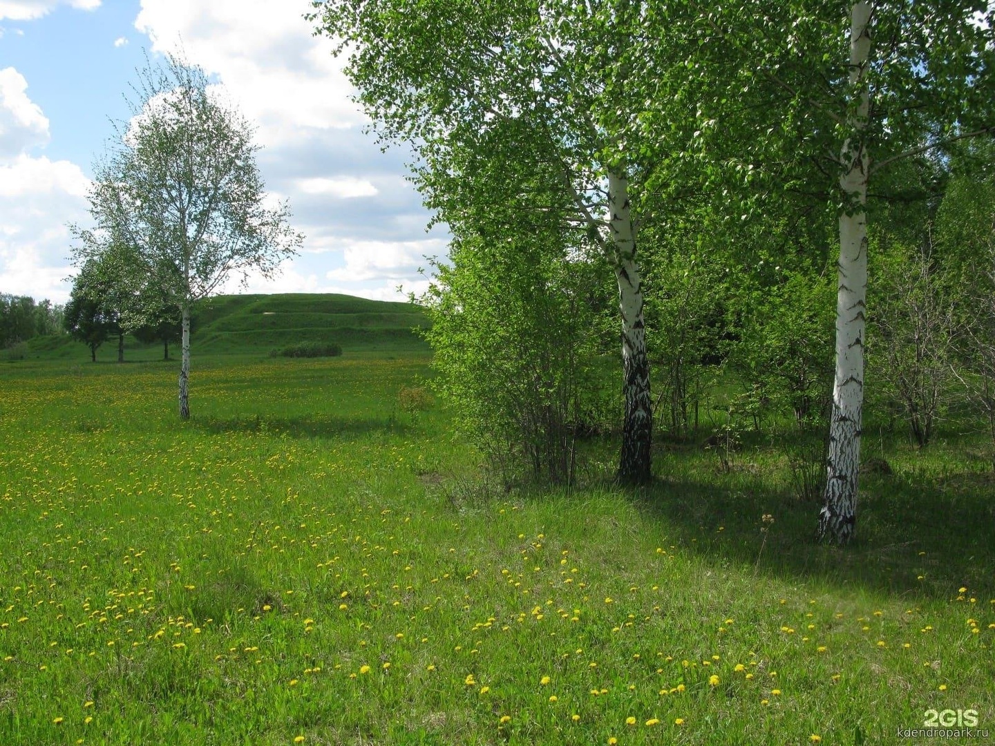 Краснообский дендропарк, Восточная, 10 к1, рп. Краснообск — 2ГИС