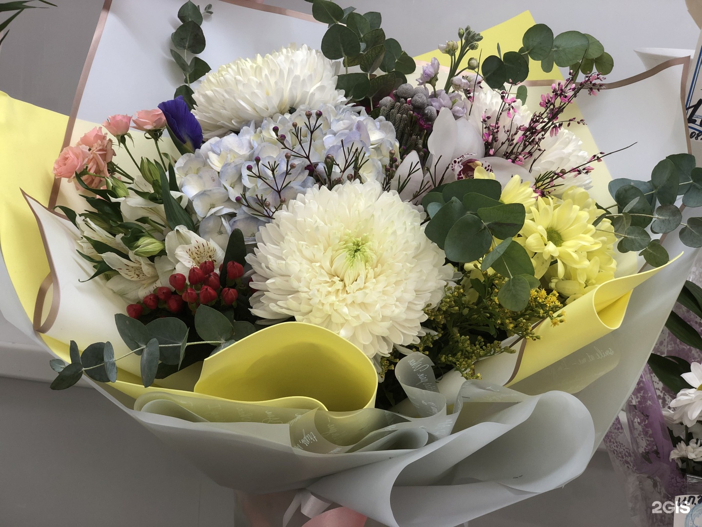 арго казань адреса