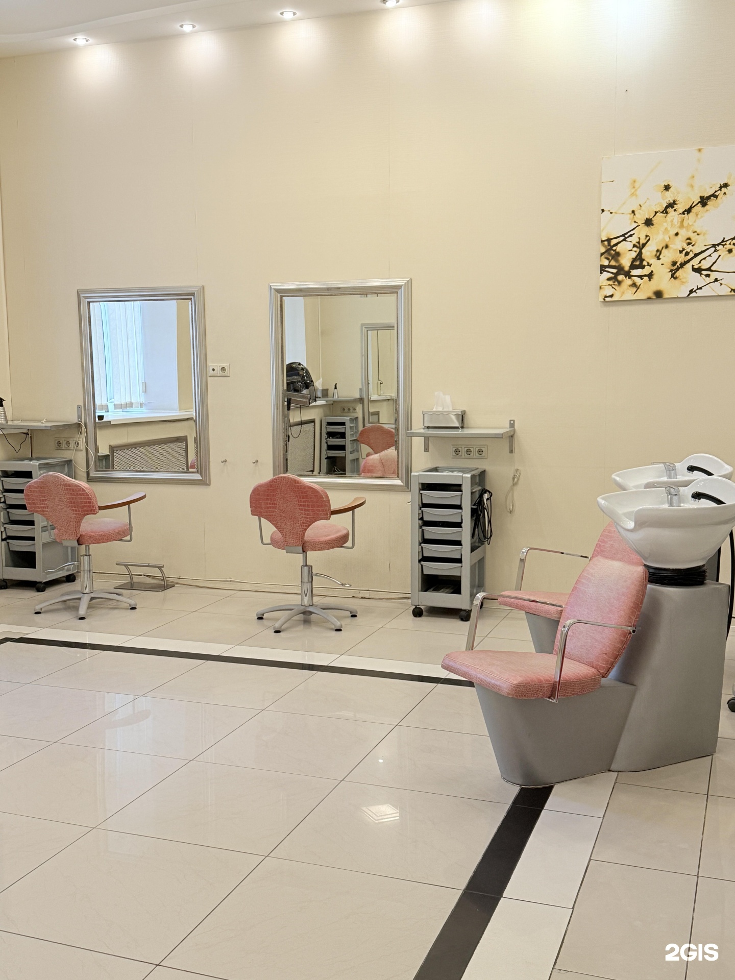 Изображение организации