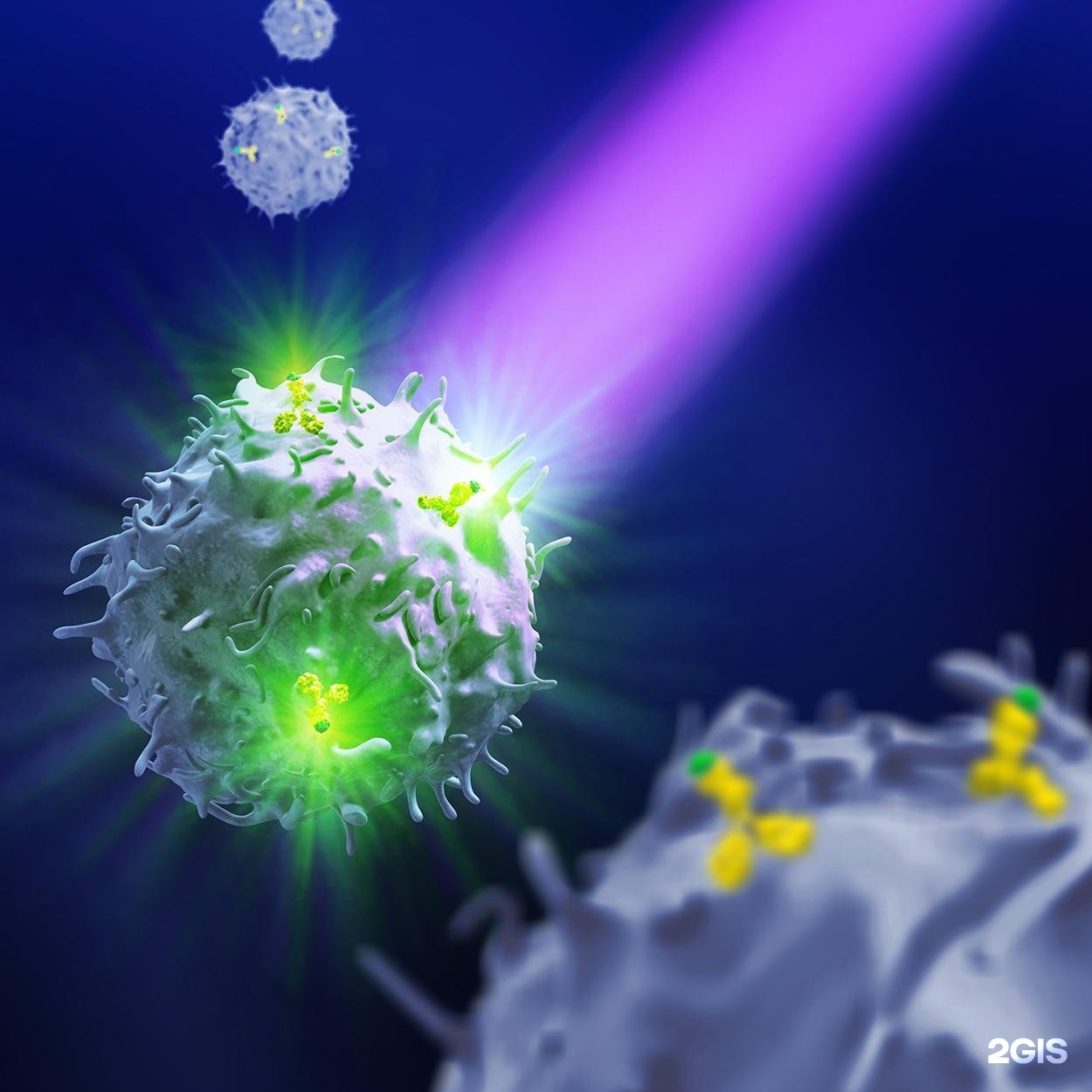 Изображение организации