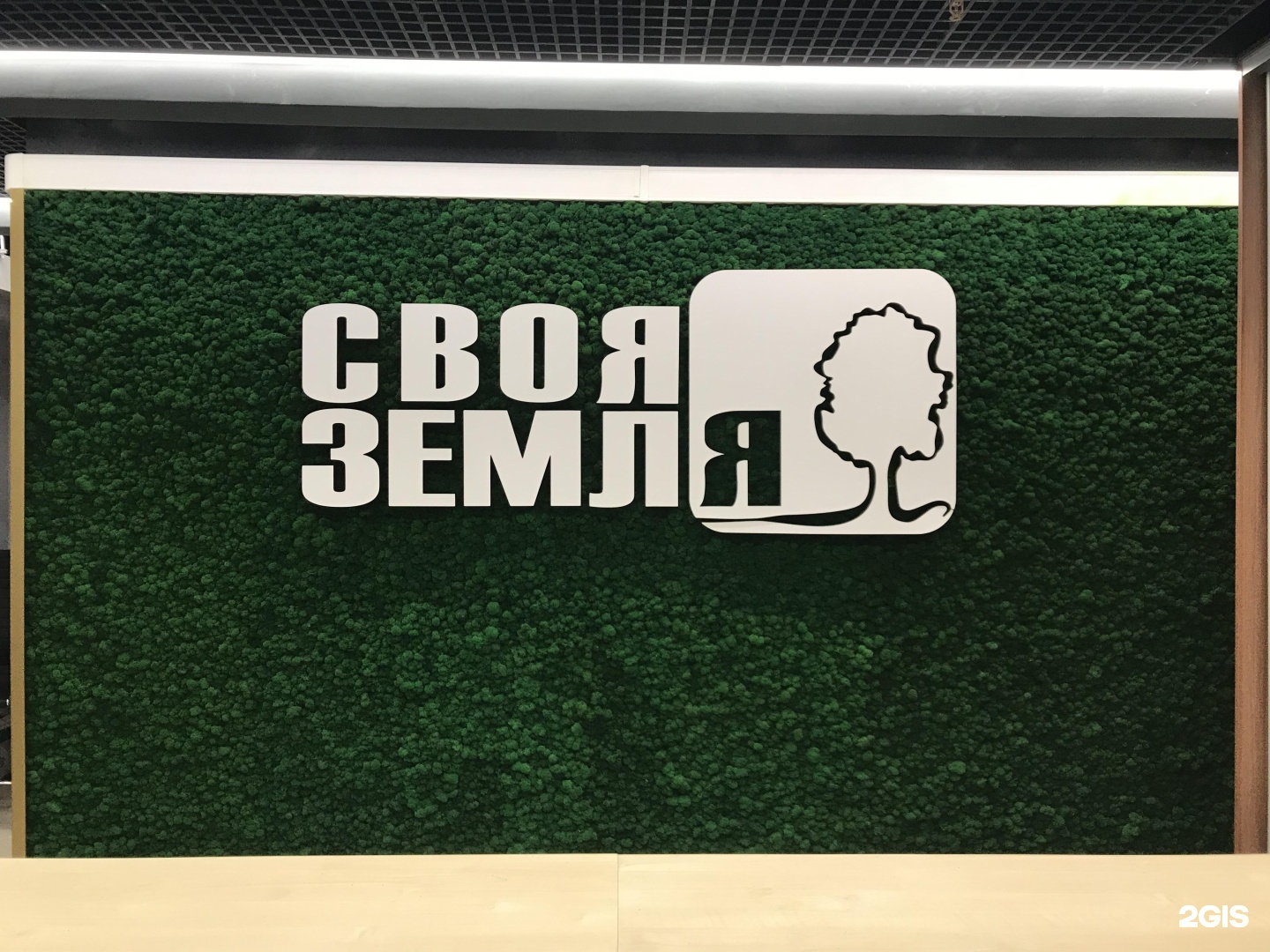 Изображение организации