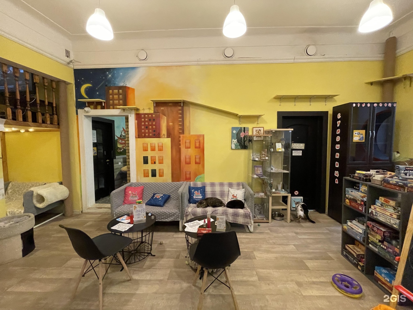 Котокафе котофейня ул маросейка 10 1с1. Котокафе котофейня. Котокафе котофейня ул маросейка 10 1с1. Котокофейня на маросейке. 10.