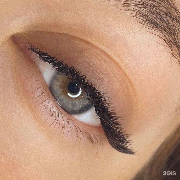 Изображение организации